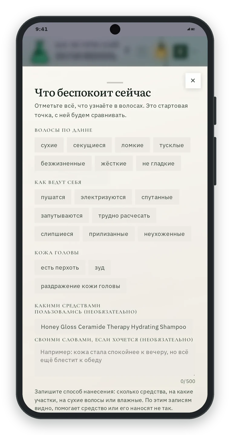 Окно Что беспокоит сейчас: группы Волосы по длине (сухие, секущиеся, ломкие, тусклые), Как ведут себя (пушатся, электризуются, спутанные), Кожа головы (есть перхоть, зуд), средства с полки и поле для заметки